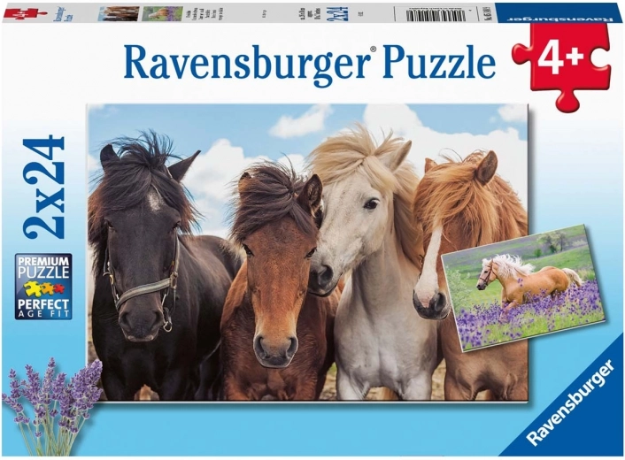Ravensburger dėlionė Arkliai 2×24 detalės