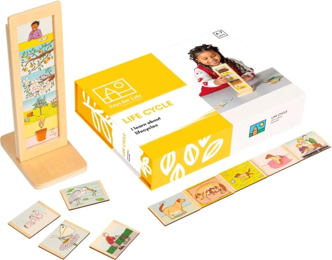 Toys for Life gyvenimo ciklai – edukacinis rinkinys su kortelėmis