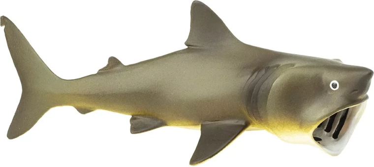 Safari Ltd. didysis ryklys – 1 vnt.