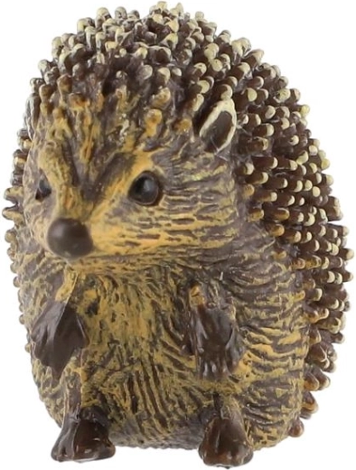 Realistic hedgehog details