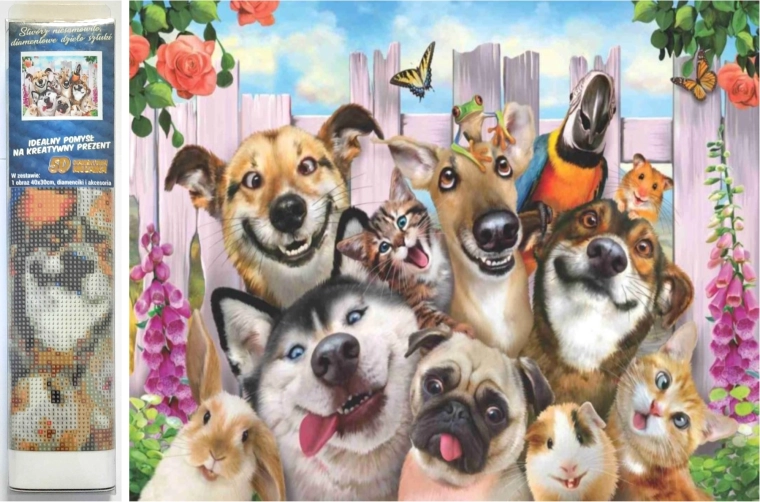 Diamond Painting Crazy Selfie 30x40 cm