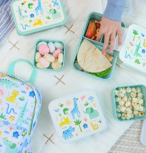 Neatly organised snacks