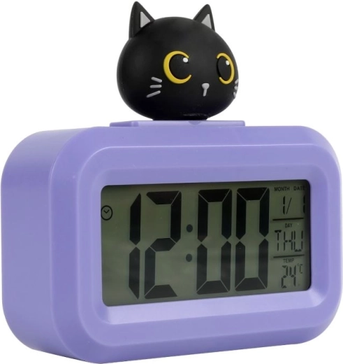 Clear digital display