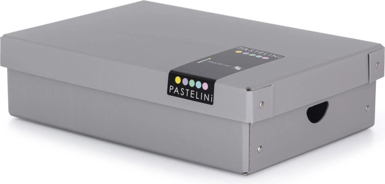 Laminated storage box PASTELINI, gray, small