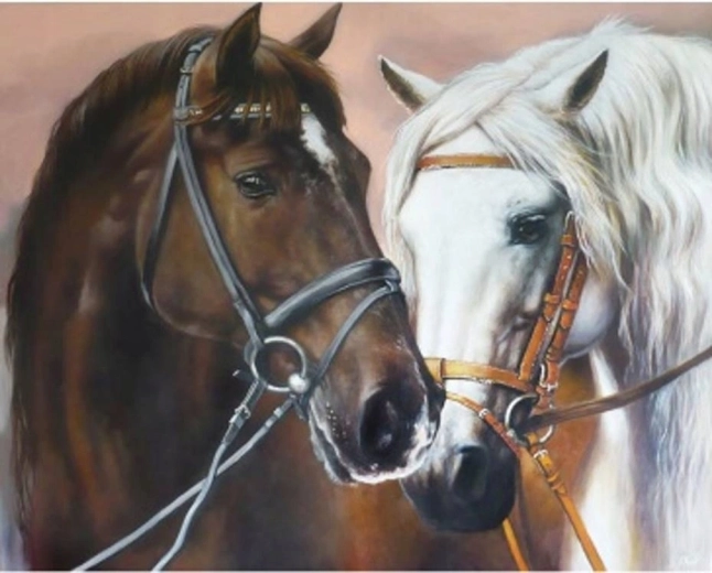 Norimpex Paint by Numbers Embracing Horses 40 × 50 cm
