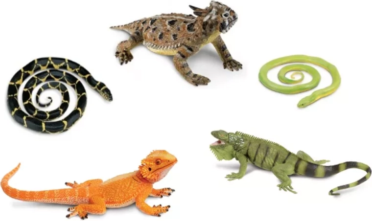 Safari Ltd. gyvatės ir driežai – 5 figūrėlių rinkinys