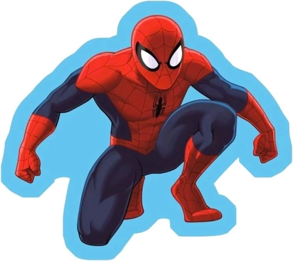Pagalvėlė Spiderman 35 × 35 cm – 1 vnt.