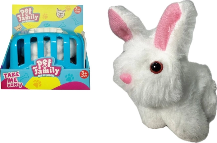 Plush Bunny with Accessories in Carrier