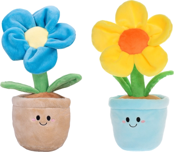 Linksmos spalvos ir mielas dizainas