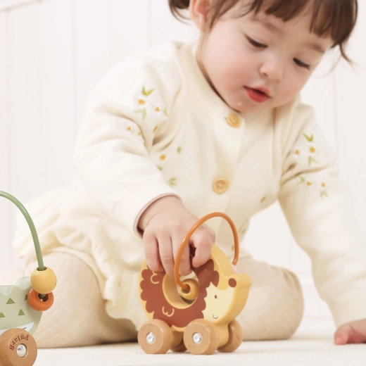 2-in-1 toy on wheels
