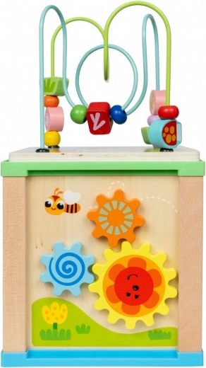 5 activities in one center