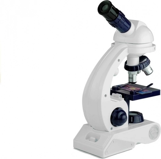 Integruotas apšvietimas ir pasukama galvutė