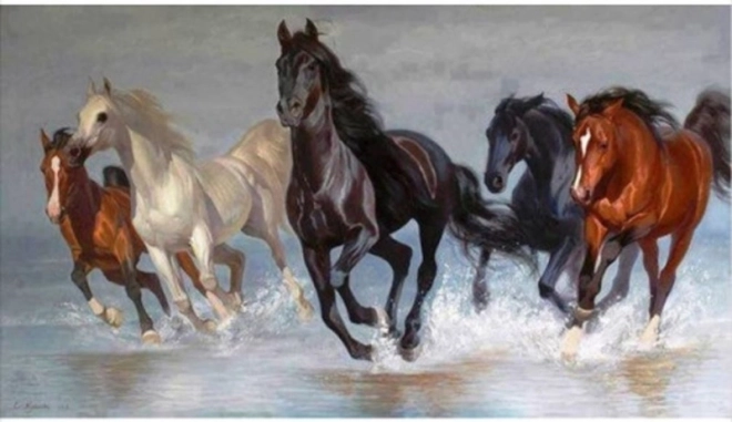 Deimantinis tapymas NORIMPEX – žirgų banda 80 × 40 cm
