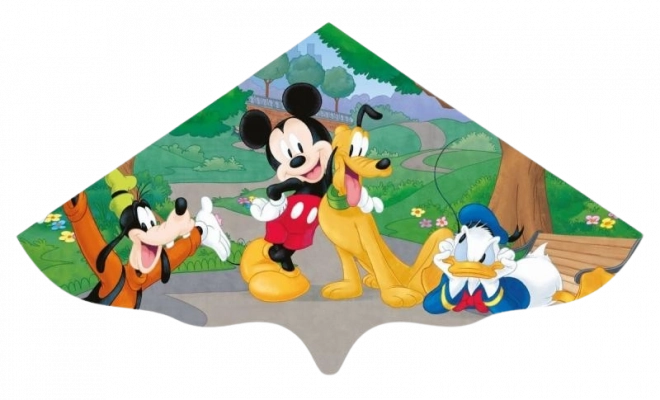 Lauko skraidymo aitvaras MICKEY, 115 cm