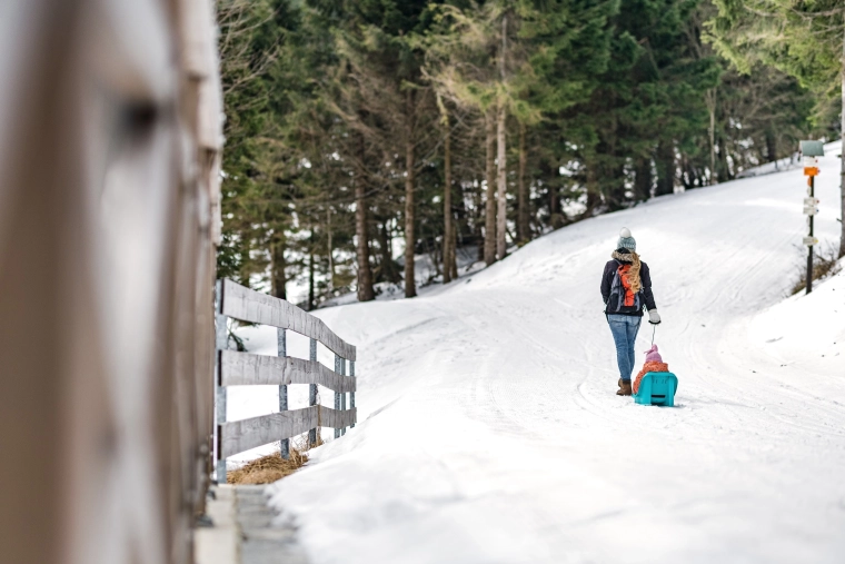 Lengvas tempimas per sniegą