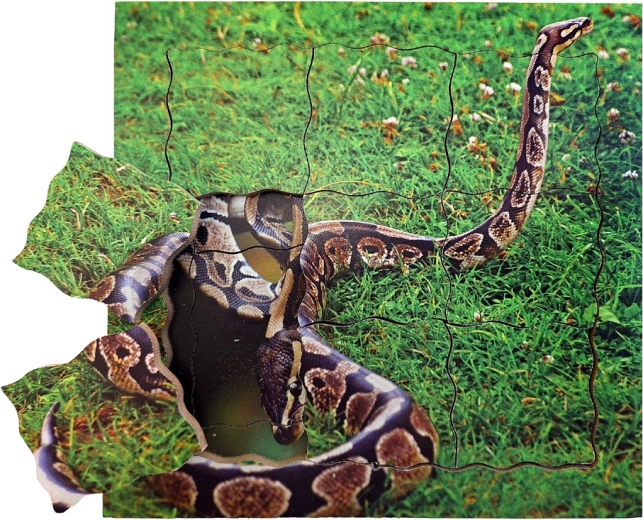 Just Jigsaws Snake Life Cycle Wooden Layered Puzzle