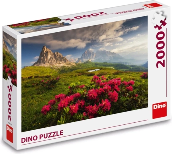 Kokybiškas DINO atlikimas