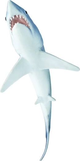 For play, learning, and collecting