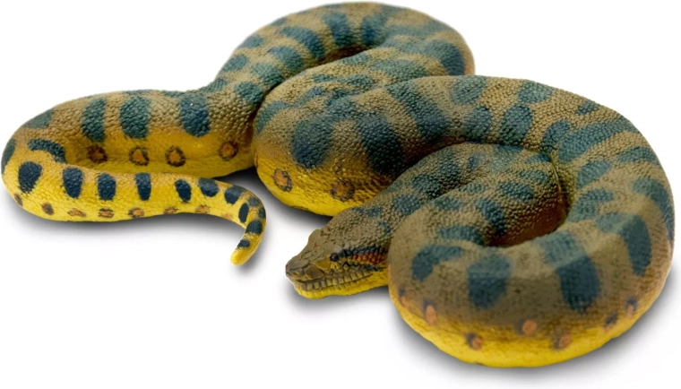 Realistic look and refined details