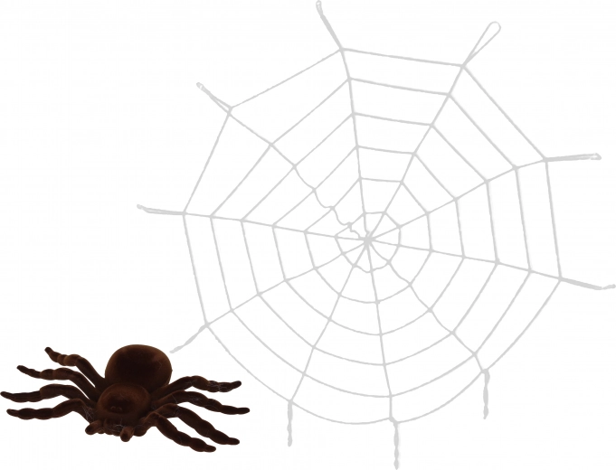 Decorative Spider Web with Spider
