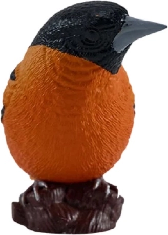 Stabilus pagrindas eksponavimui