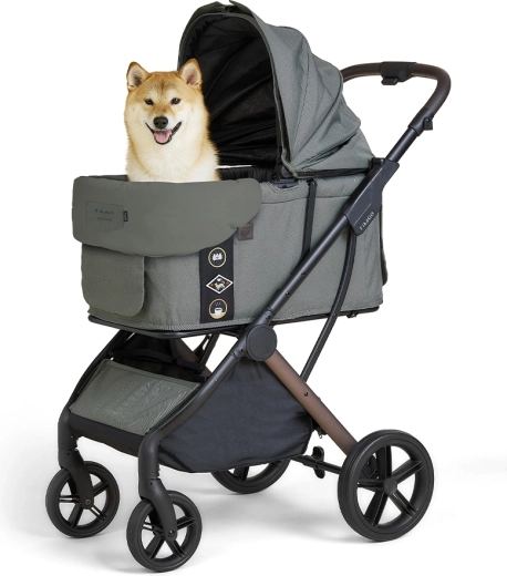 Reversible and multifunctional
