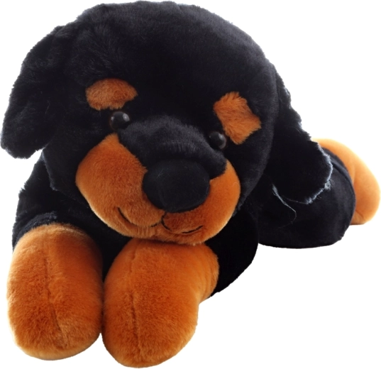 Realistiškas ir žavingas dizainas