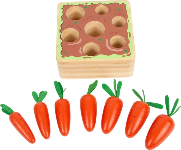 Seven carrots of different sizes