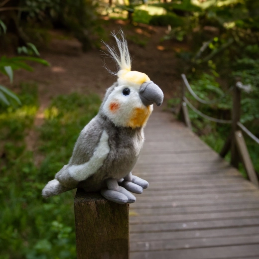 Saugus pasirinkimas patiems mažiausiems