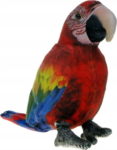 Compact 20 cm size for home and travel