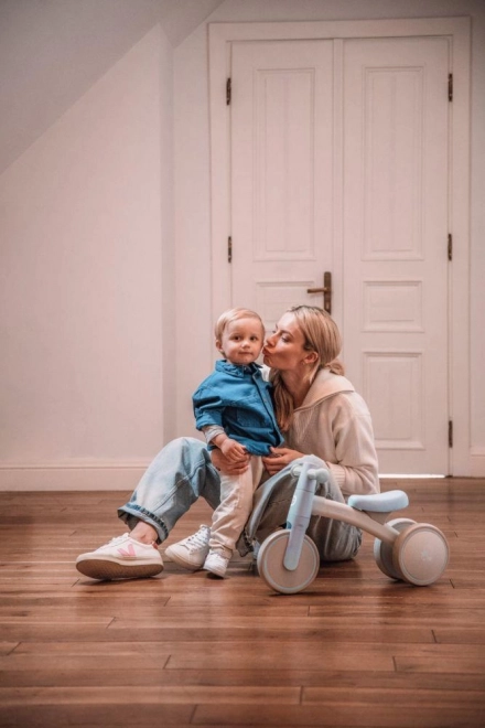 Quiet floor-friendly wheels