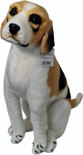 Plush Beagle Dog