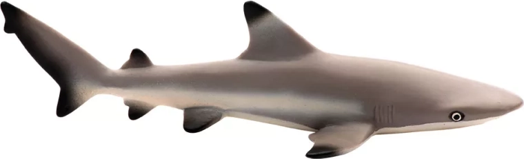 Safari Ltd. Blacktip Shark - 1 piece