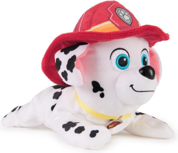 Autentiška ugniagesio išvaizda iš Paw Patrol
