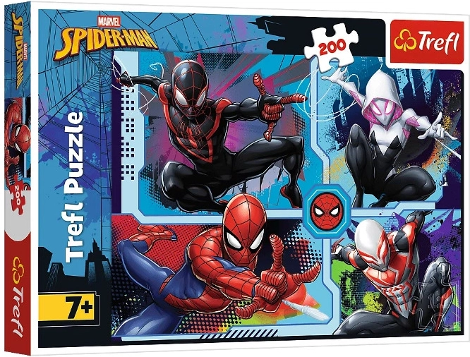 Dėlionė „Spider-Man“: Voratinklio mįslės (200 dalių)