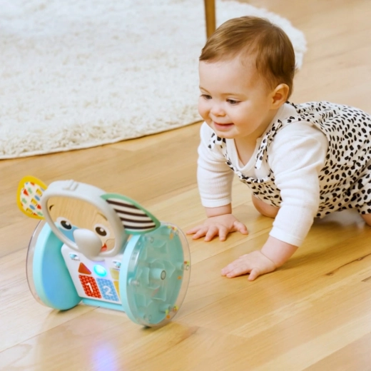 2-in-1: rolling toy and stable sit-and-play