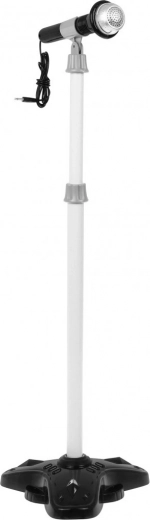 Dainuok ir grok vienu metu