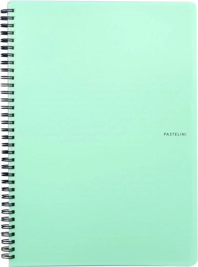A5 Ring Notebook Pastelini, Green, PP Covers