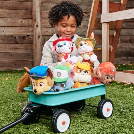 Paw Patrol heroine