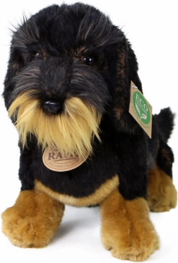 Realistiškas šiurkščiaplaukio takso atlikimas