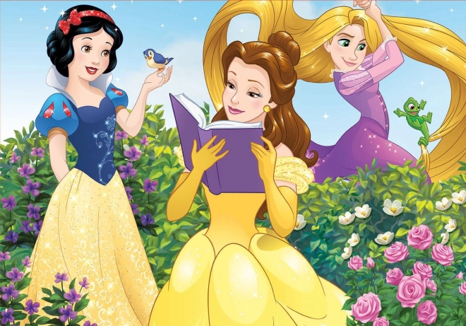 Educa dėlionė Disney princesės – 100 dalių