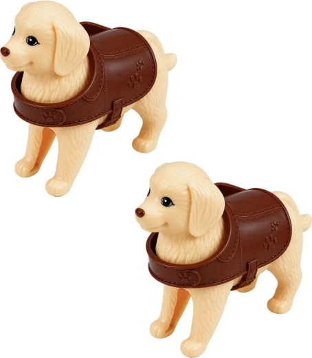 Two puppies with care accessories