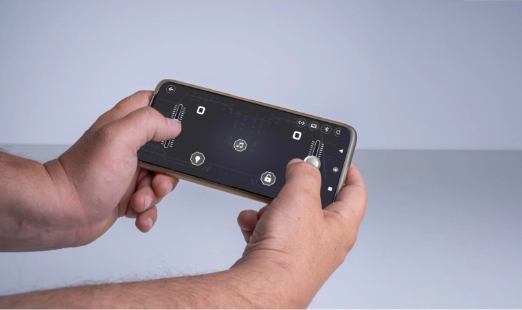 Dual control system