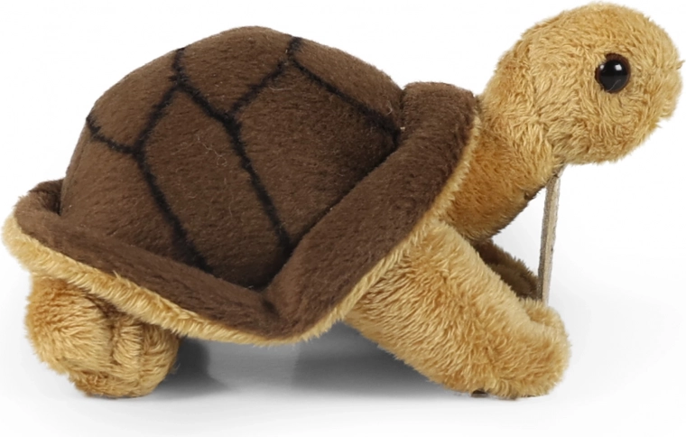 Realistiškas ir mielas dizainas