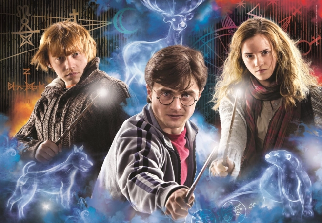 Clementoni dėlionė Harry Potter 500 dalių