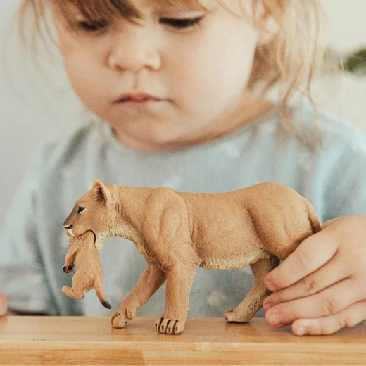 Idealiai tinka žaidimui, mokymuisi ir kolekcionavimui