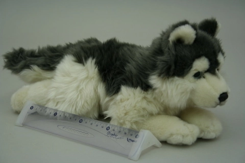 Pliušinis haskis 35 cm