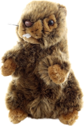 Eco-friendly apdirbimas