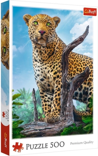 Dėlionė 500 detalių – Laukinis leopardas