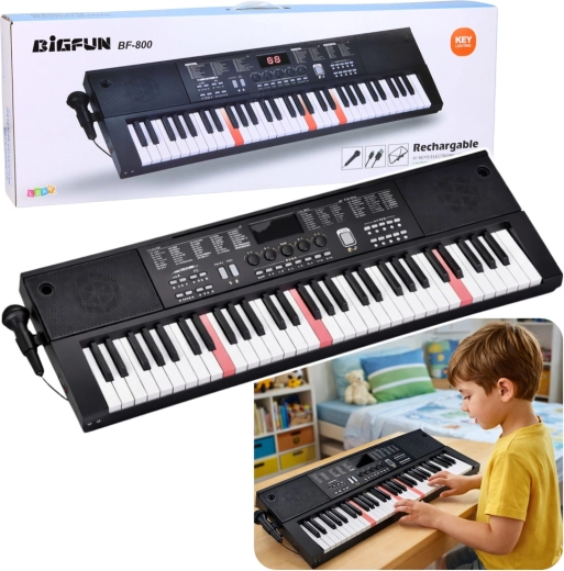 Elektroninis klavišinis instrumentas (keyboard) su 61 klavišu, mikrofonu ir klavišų pašvietimu